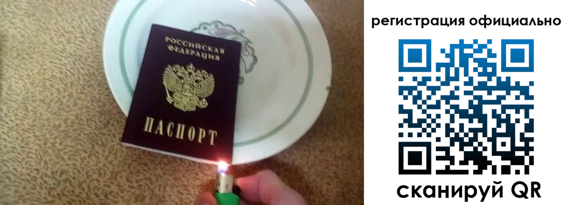 прописка в Щёлково
